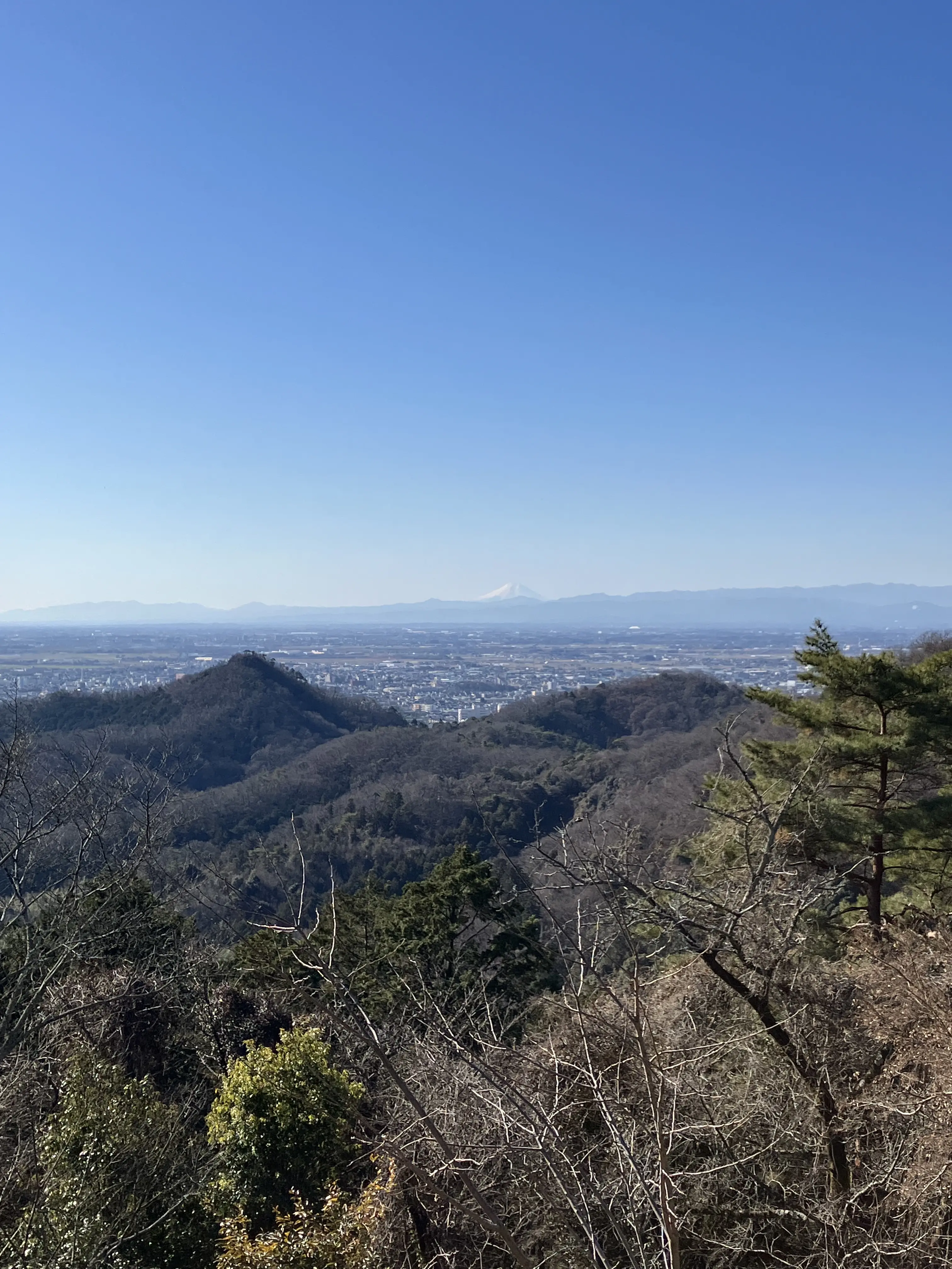 唐沢山城 山上の眺望