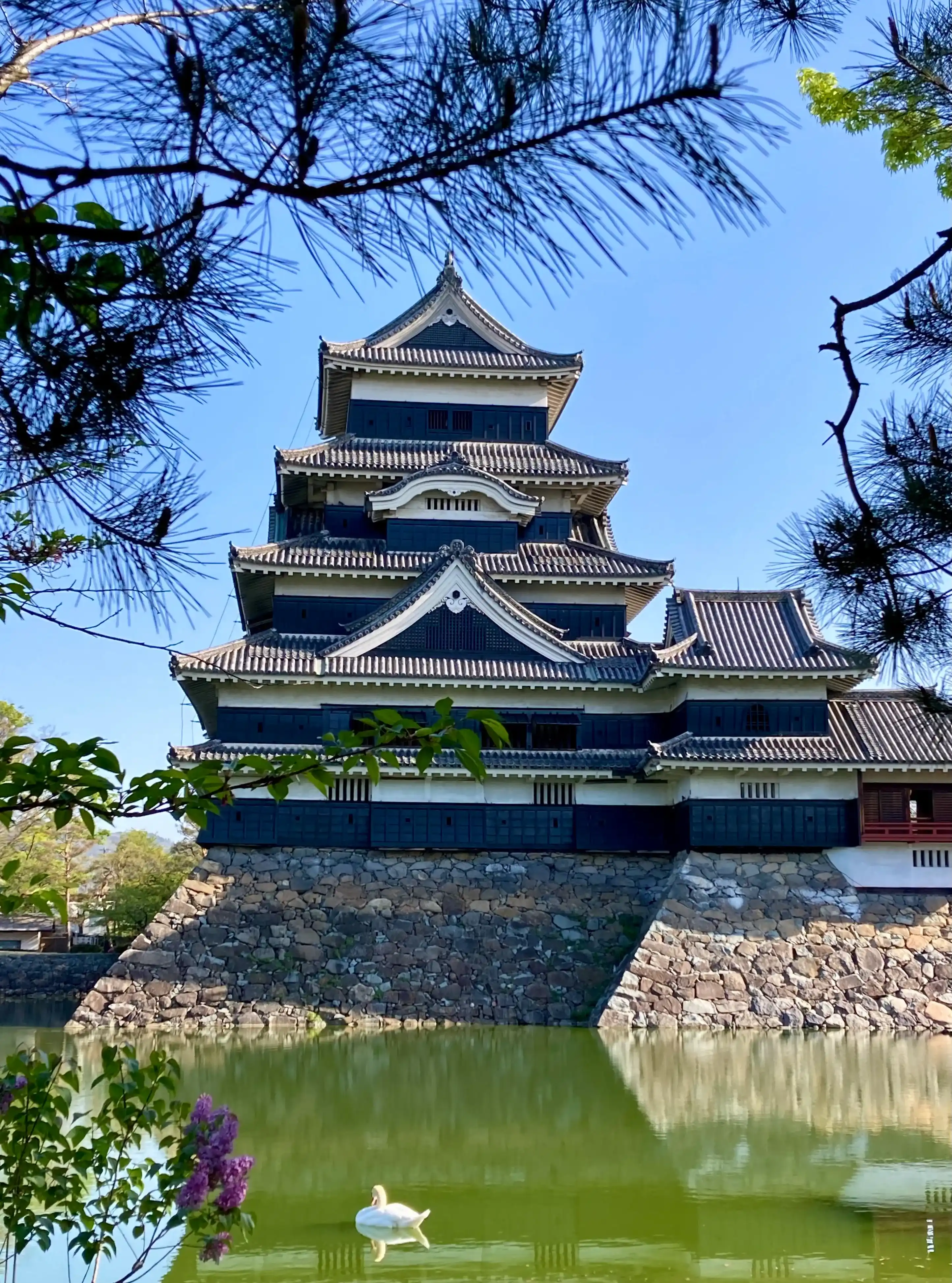 松本城のイメージ