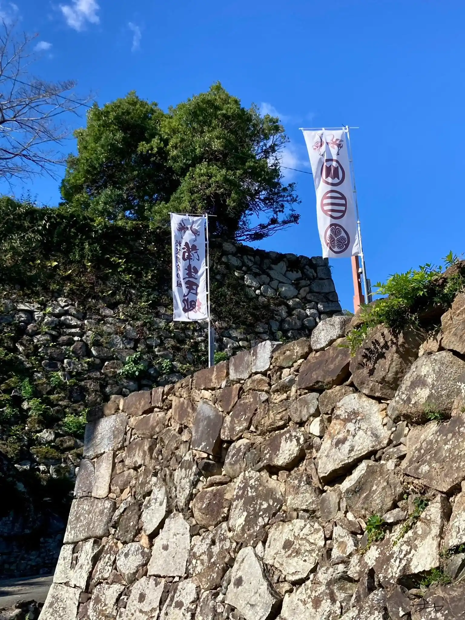 松坂城のイメージ