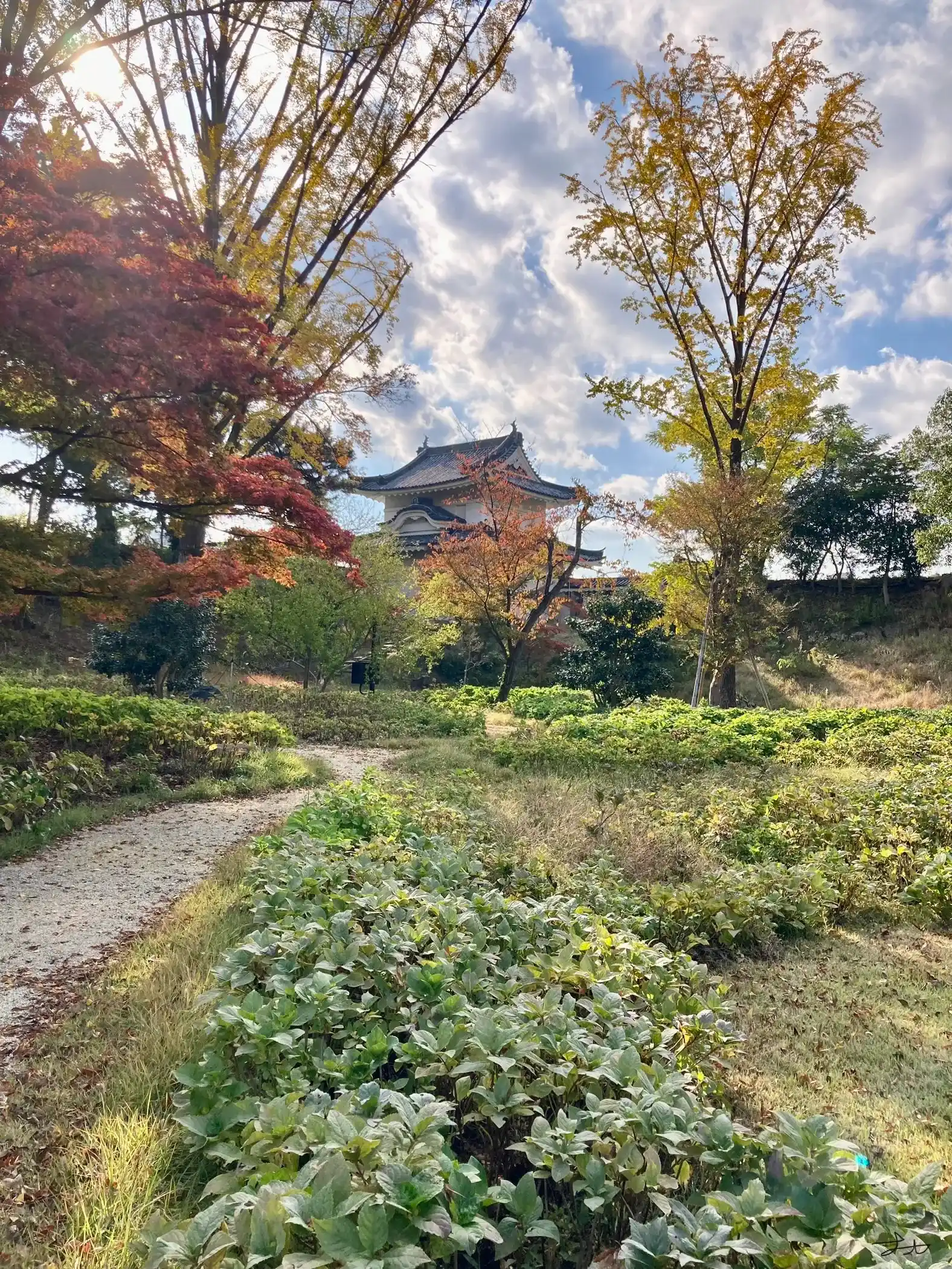 二条城のイメージ