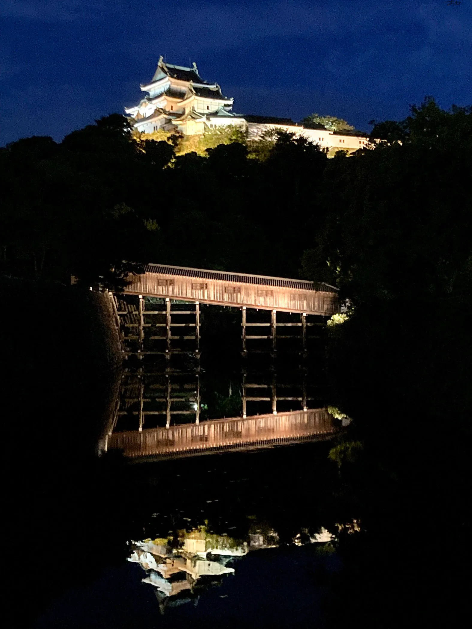 和歌山城のイメージ