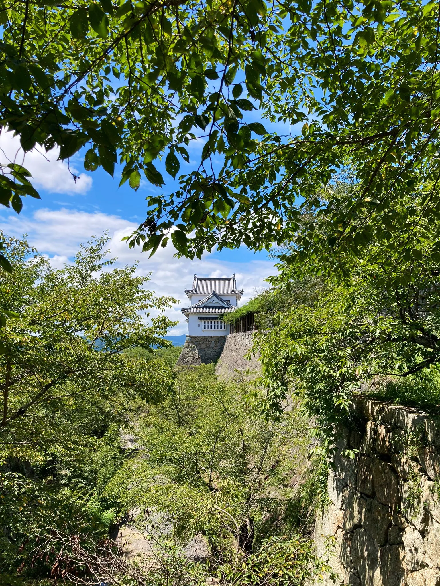 津山城のイメージ