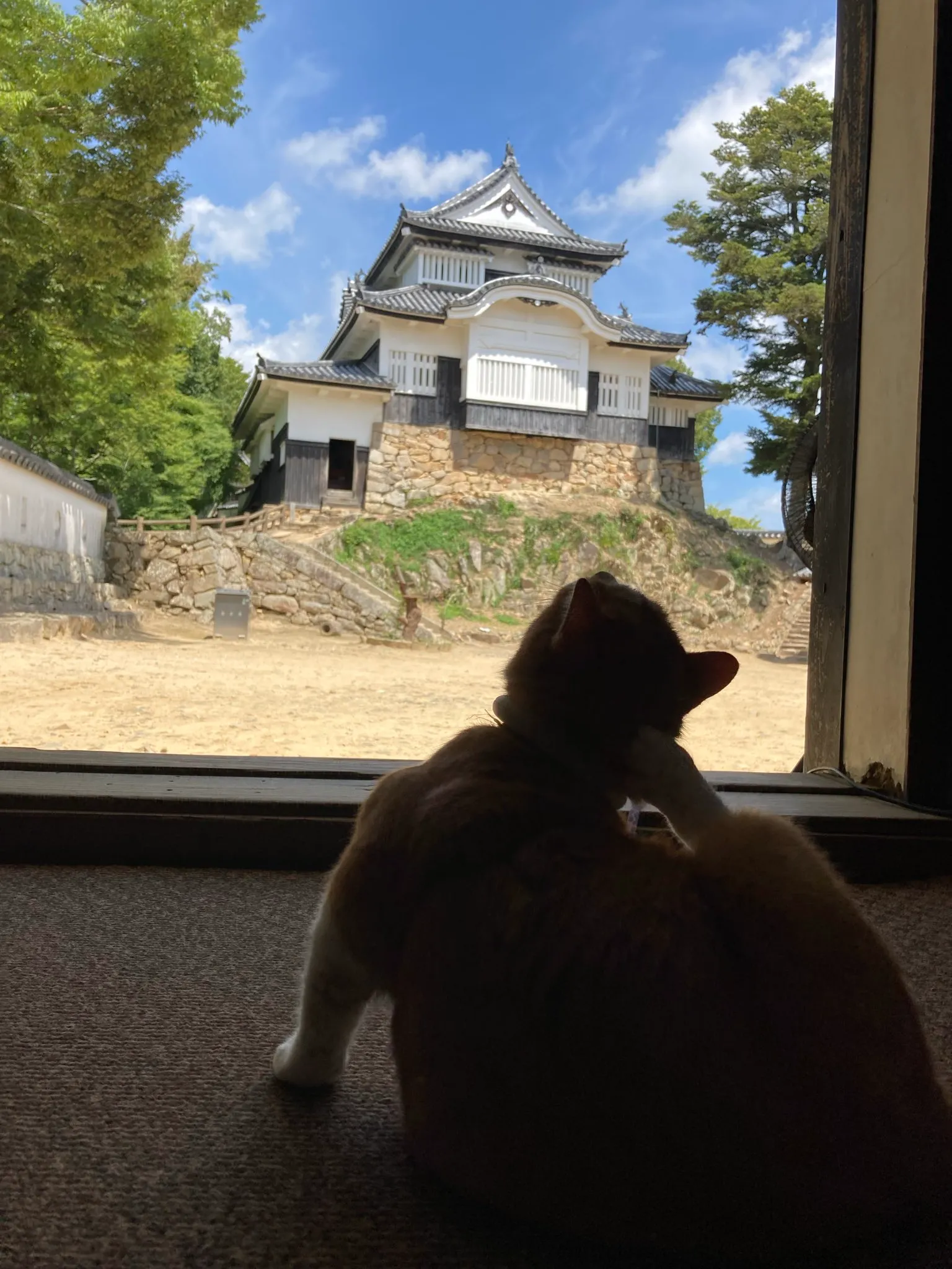 備中松山城のイメージ