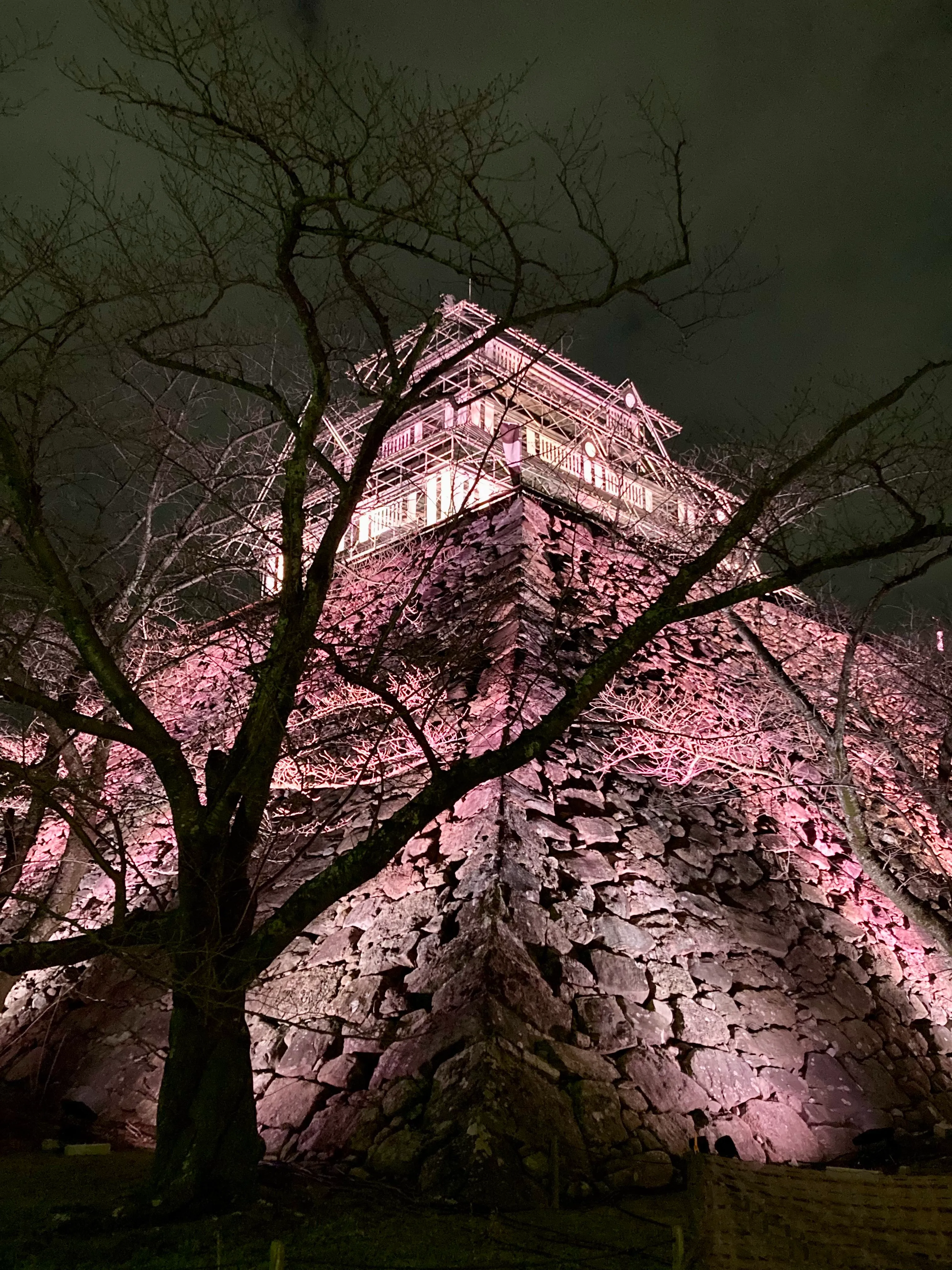 福岡城のイメージ