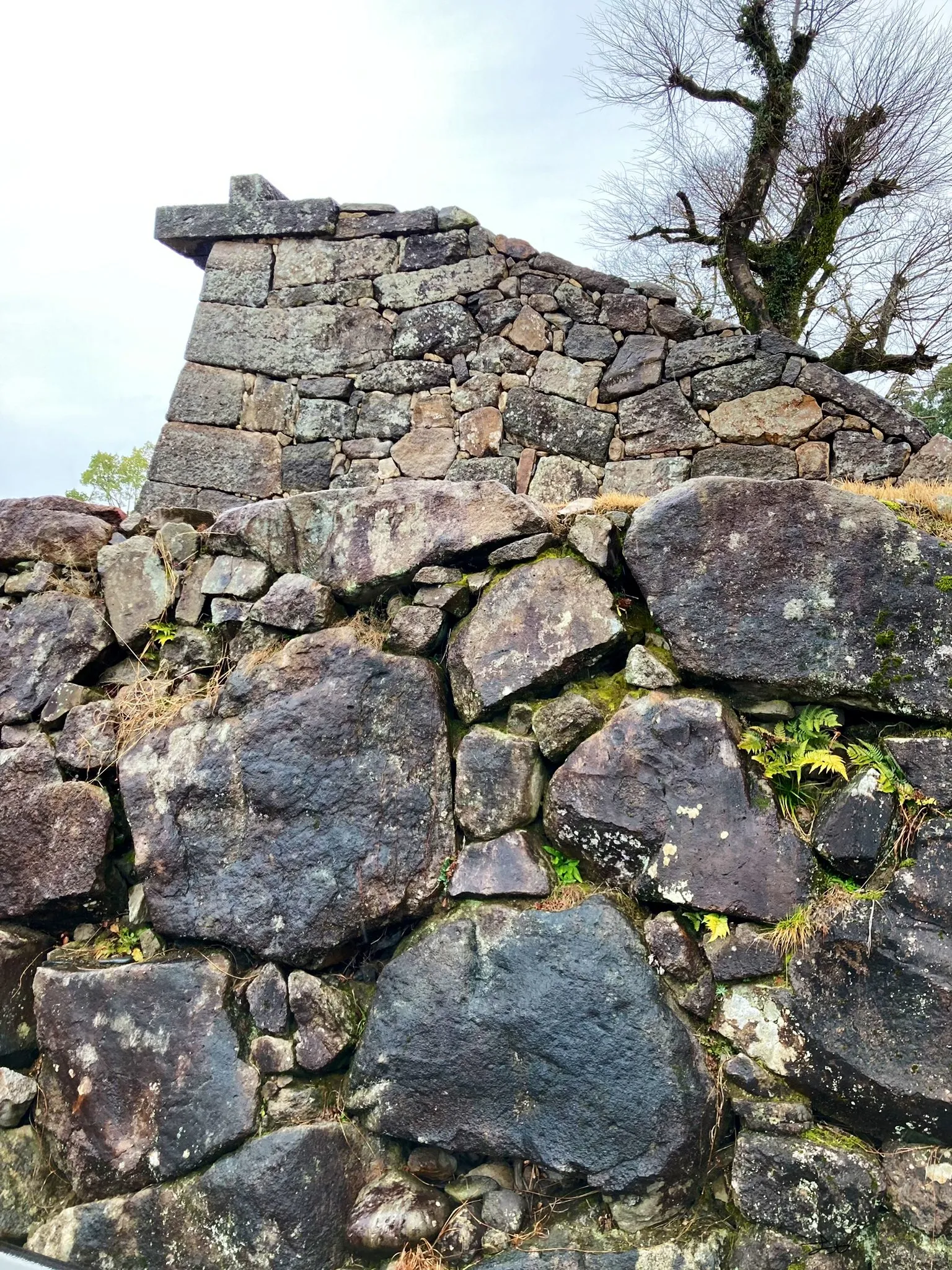 Image of Hitoyoshi Castle